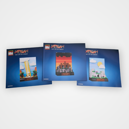 Bible Bricks Life of Christ Set
